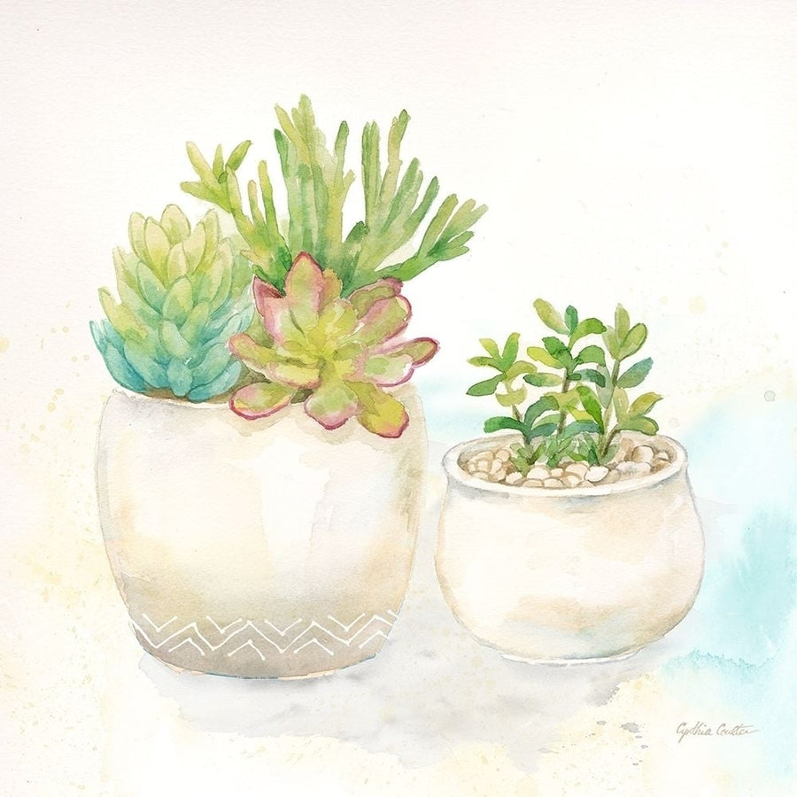 Sweet Succulent Pots I Poster Print by Cynthia Coulter-VARPDXRB12663CC Image 1