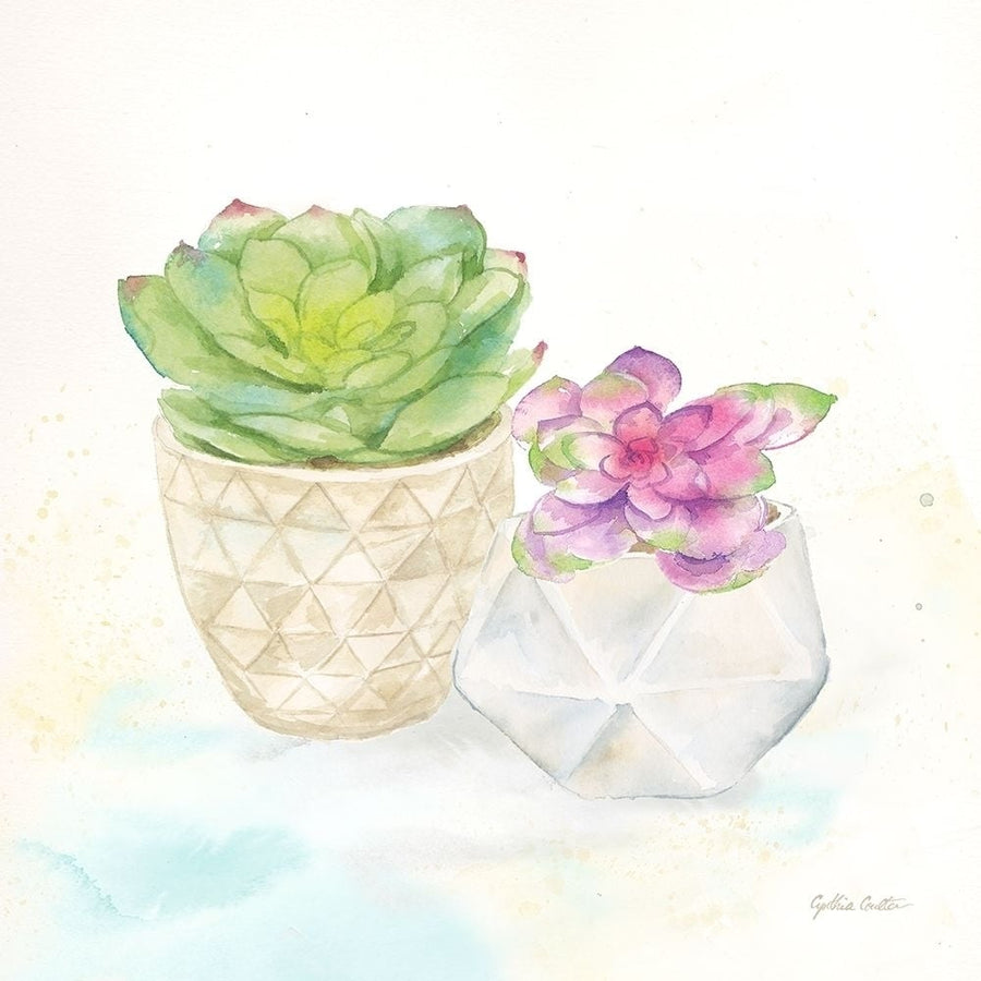 Sweet Succulent Pots III Poster Print by Cynthia Coulter-VARPDXRB12665CC Image 1