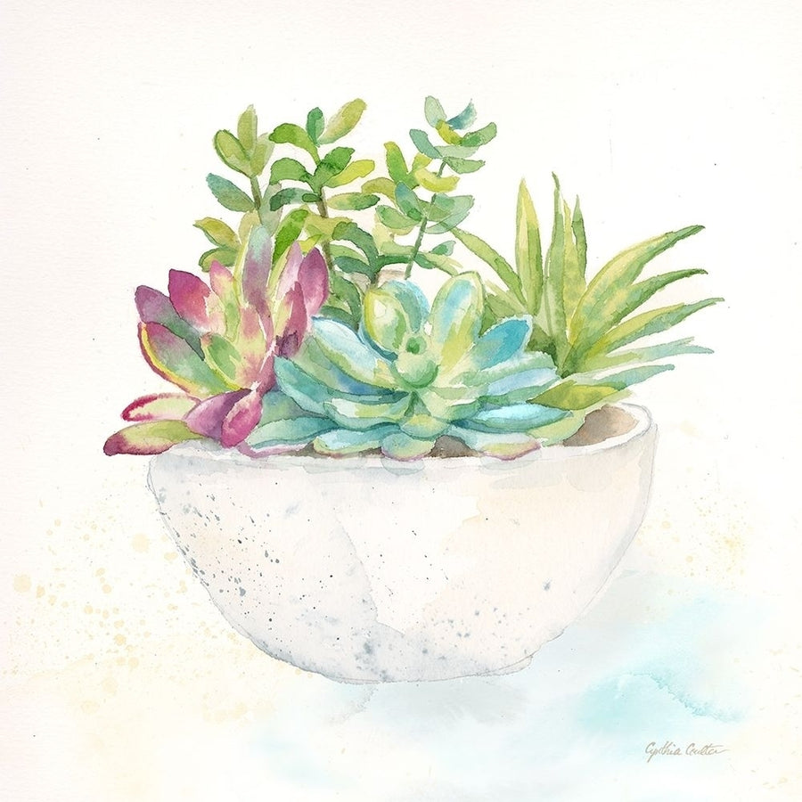 Sweet Succulent Pots II Poster Print by Cynthia Coulter-VARPDXRB12664CC Image 1