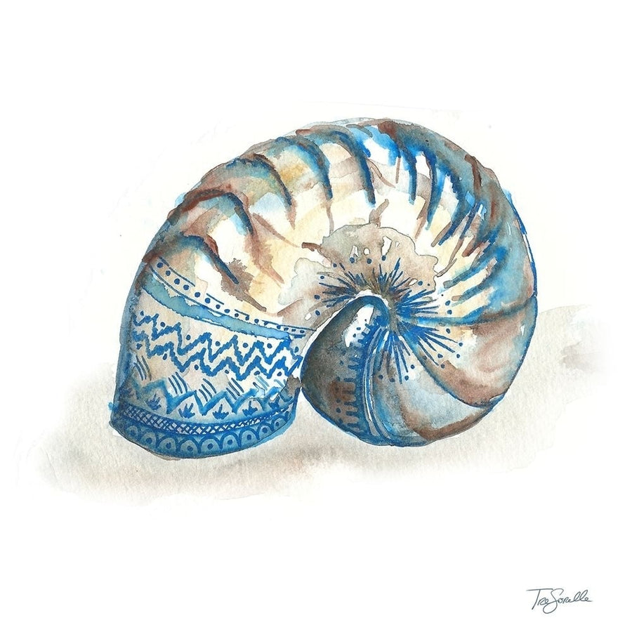 Bohemian Shells IV Poster Print by Tre Sorelle Studios-VARPDXRB12705TS Image 1