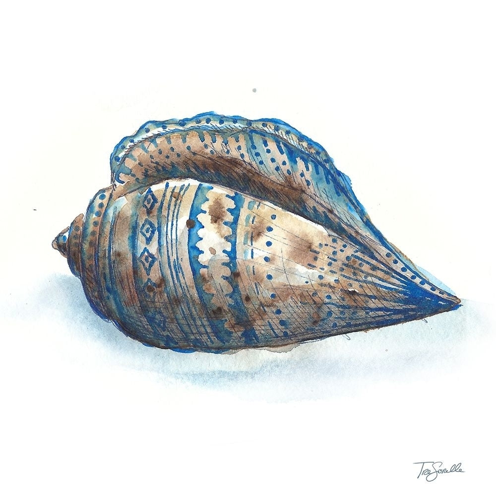 Bohemian Shells II Poster Print by Tre Sorelle Studios-VARPDXRB12703TS Image 1