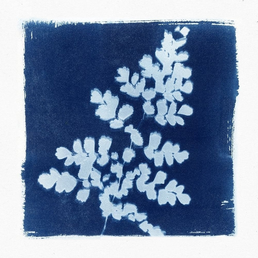 Flora Cyanotype I Poster Print by Nancy Green-VARPDXRB12898NG Image 1