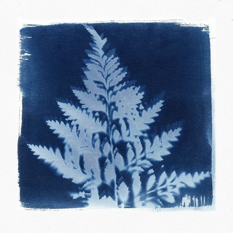 Flora Cyanotype III Poster Print by Nancy Green-VARPDXRB12900NG Image 1