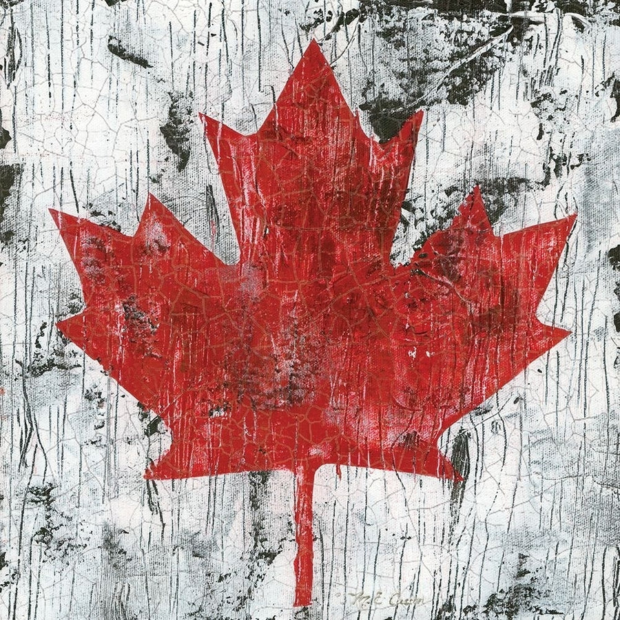 Canada Maple Leaf I Poster Print by Marie-Elaine Cusson-VARPDXRB13032MC Image 1