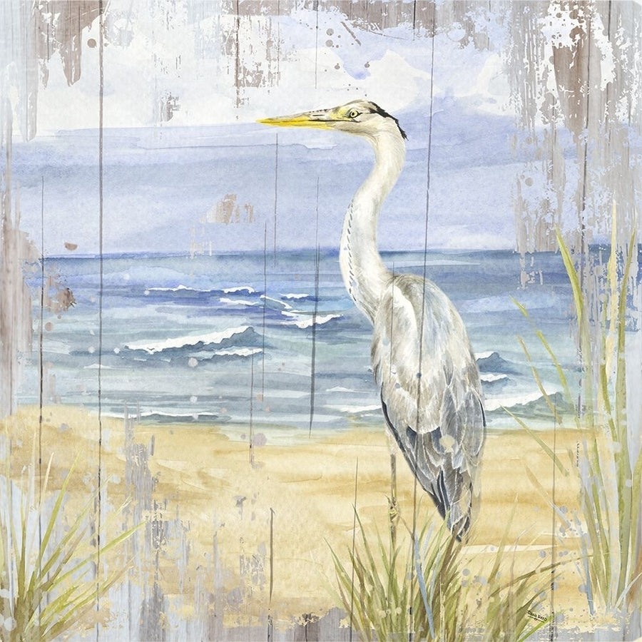 Birds of the Coast Rustic II Poster Print by Tara Reed-VARPDXRB13050TR Image 1