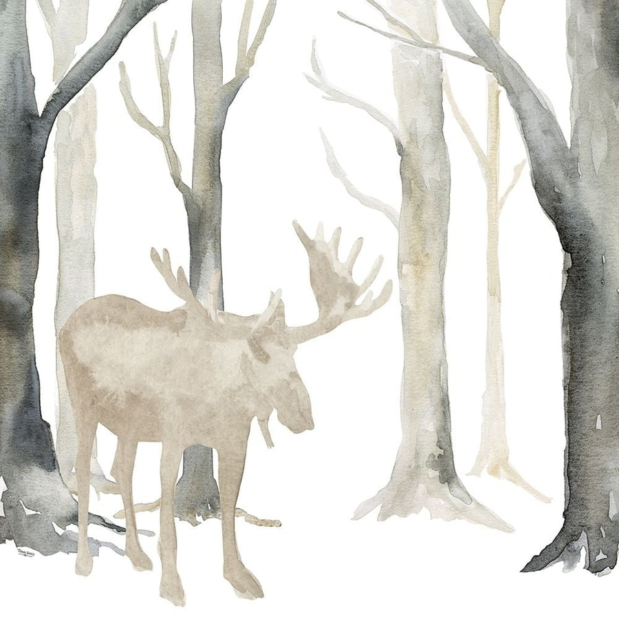 Winter Forest Moose Poster Print by Tara Reed-VARPDXRB13501TR Image 1