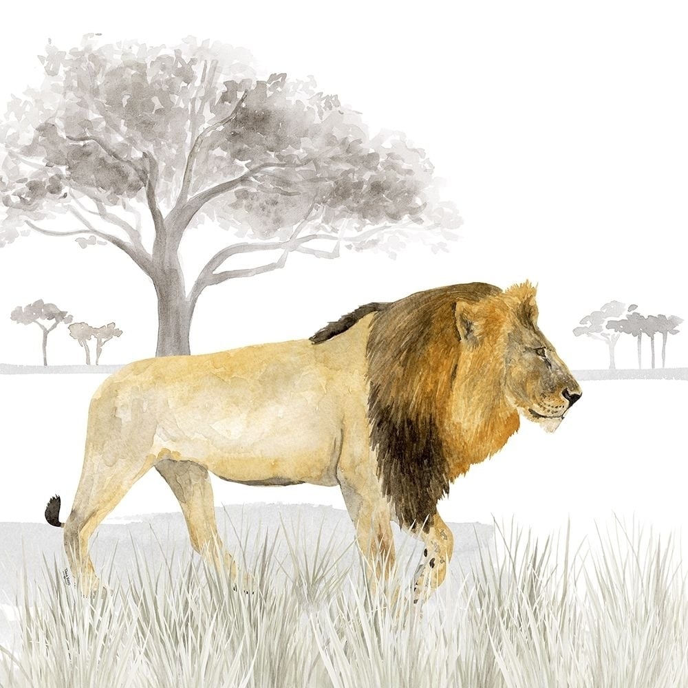 Serengeti Lion Square Poster Print by Tara Reed-VARPDXRB13497TR Image 1