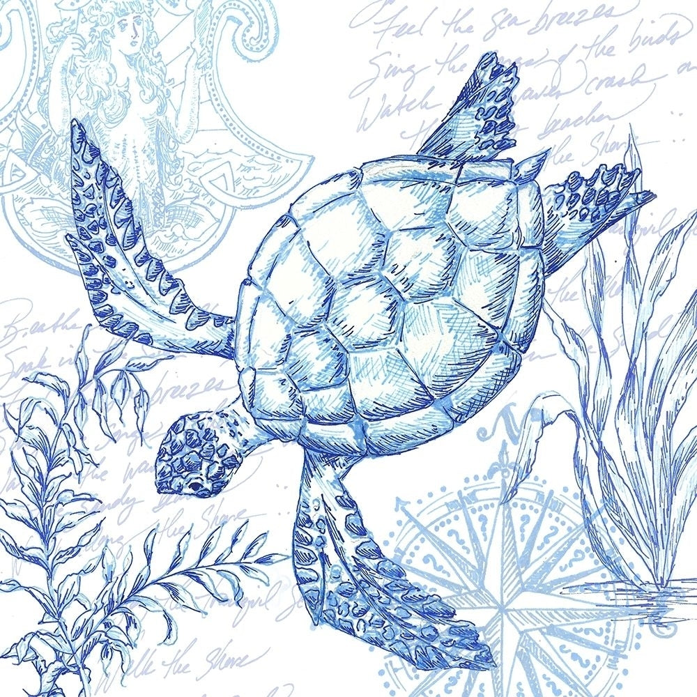 Coastal Sketchbook Turtle Poster Print by Tre Sorelle Studios Tre Sorelle Studios-VARPDXRB13577TS Image 1