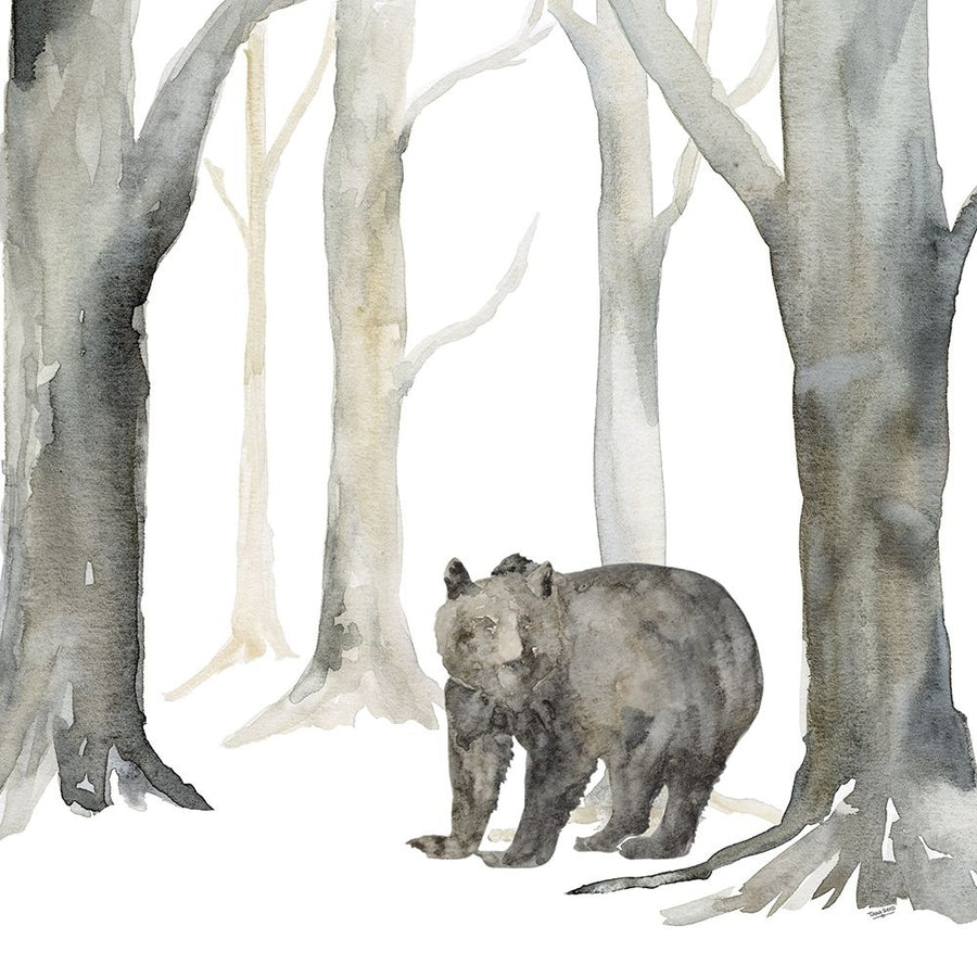 Winter Forest Bear Poster Print by Tara Reed-VARPDXRB13502TR Image 1