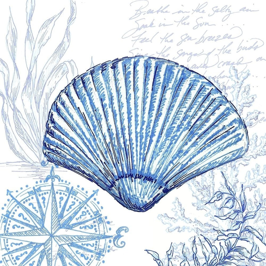 Coastal Sketchbook-Clam Shell Poster Print by Tre Sorelle Studios Tre Sorelle Studios-VARPDXRB13848TS Image 1