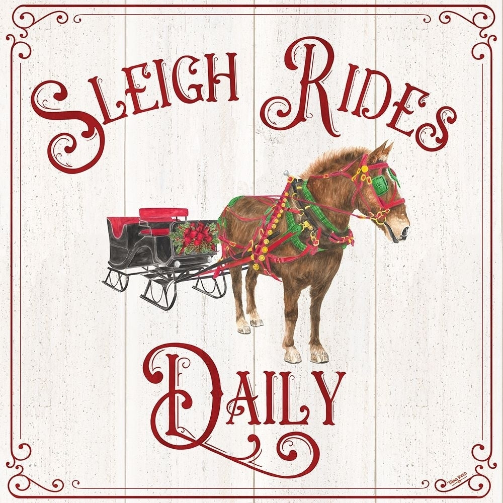 Vintage Christmas Signs V-Sleigh Rides by Tara Reed-VARPDXRB13783TR Image 1