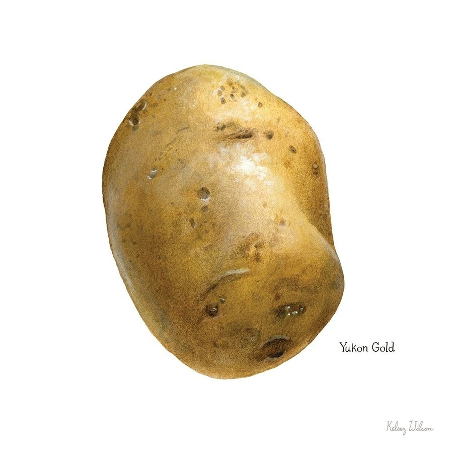 Organic Potatoes IV Poster Print by Kelsey Wilson-VARPDXRB14129KWL Image 1