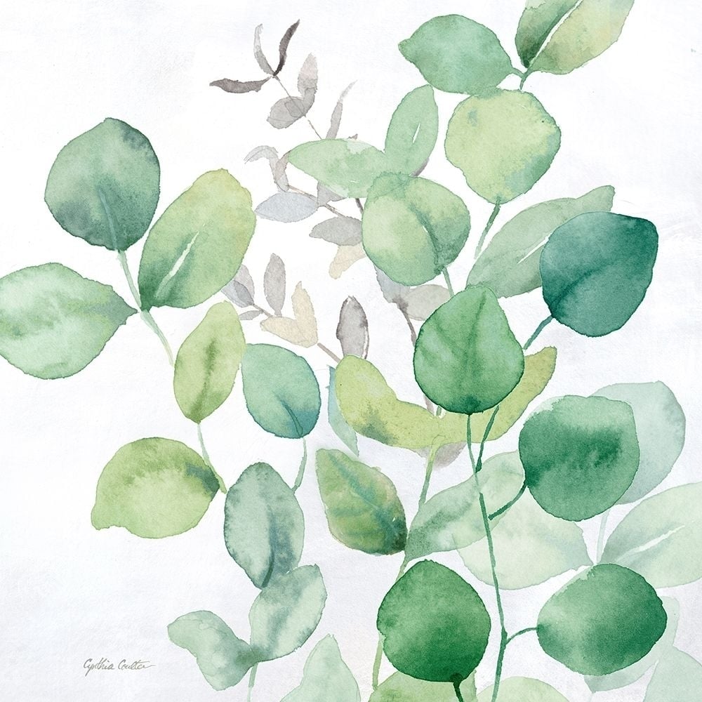 Eucalyptus Leaves I Poster Print by Cynthia Coulter-VARPDXRB14278CC Image 1