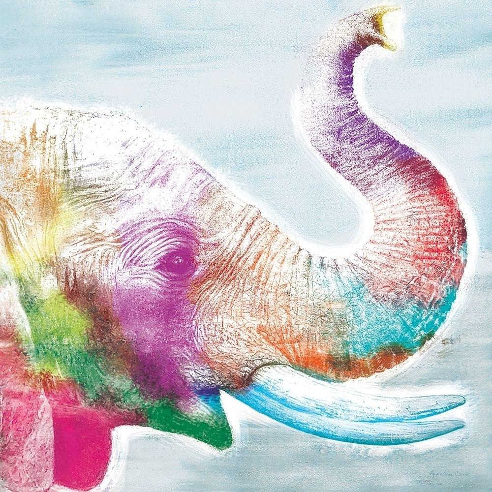 Colorful Elephant Poster Print by Marie Elaine Cusson-VARPDXRB14367MC Image 1