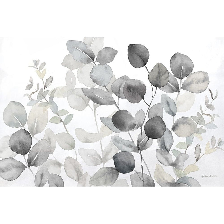 Eucalyptus Leaves landscape neutral Poster Print by Cynthia Coulter-VARPDXRB14795CC Image 1