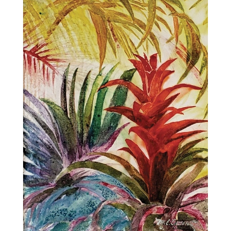 Tropic Botanicals VI Poster Print by Marie Elaine Cusson-VARPDXRB14880MC Image 1