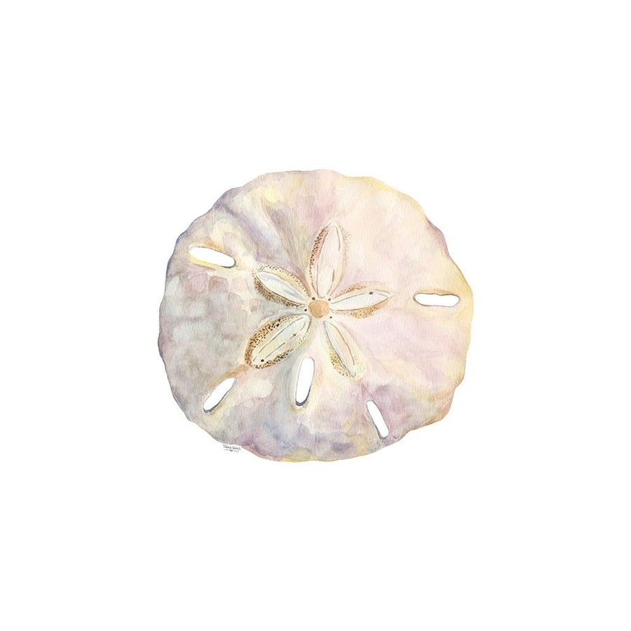 Oceanum Shells white IV-Sand Dollar by Tara Reed-VARPDXRB15739TR Image 1