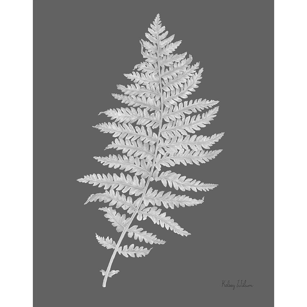 Neutral Fern on grey II Poster Print - Kelsey Wilson-VARPDXRB17173KWL Image 1