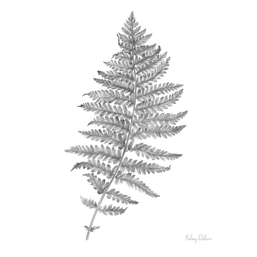 Neutral Fern II Poster Print - Kelsey Wilson-VARPDXRB17169KWL Image 1