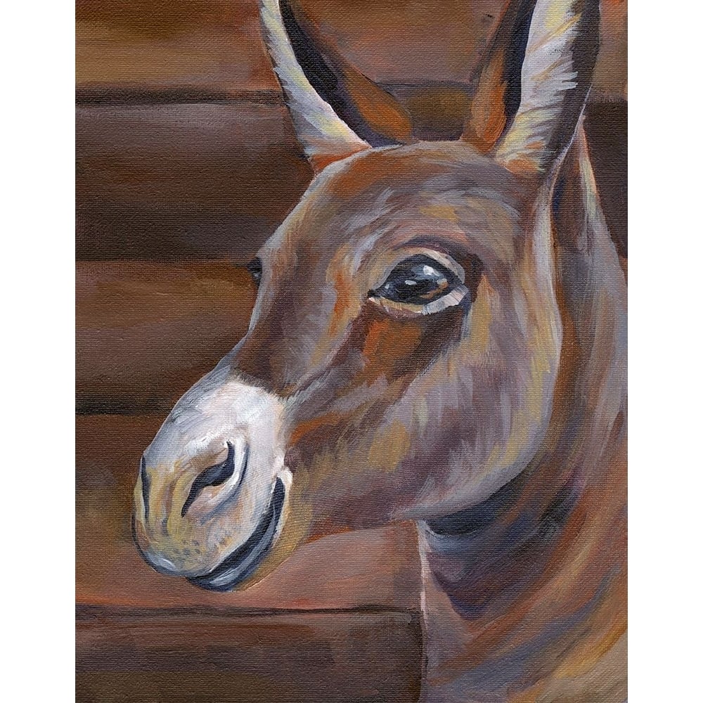 Barn Donkey Poster Print - Kelsey Wilson-VARPDXRB17724KWL Image 1