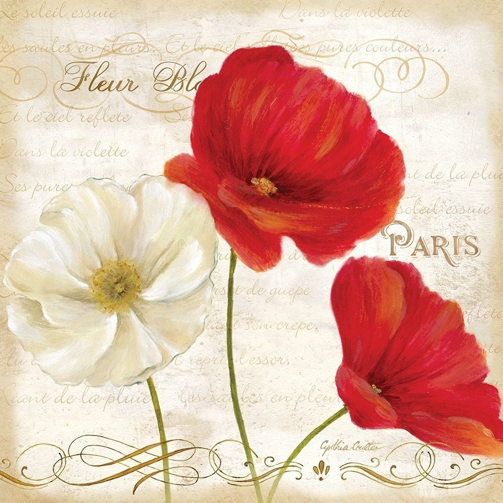 Paris Poppies I Poster Print by Cynthia Coulter-VARPDXRB6792CC Image 1