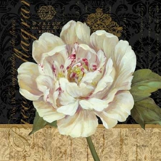 Antique Still Life Peony Poster Print by Pamela Gladding-VARPDXRB7641PG Image 2