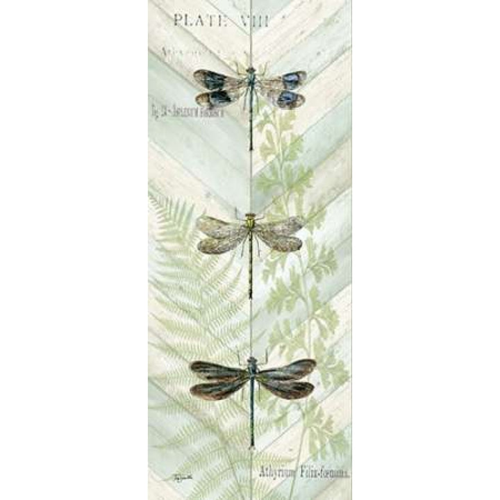 Dragonfly Botanical Panels II Poster Print by Tre Sorelle Studios-VARPDXRB7763TS Image 2