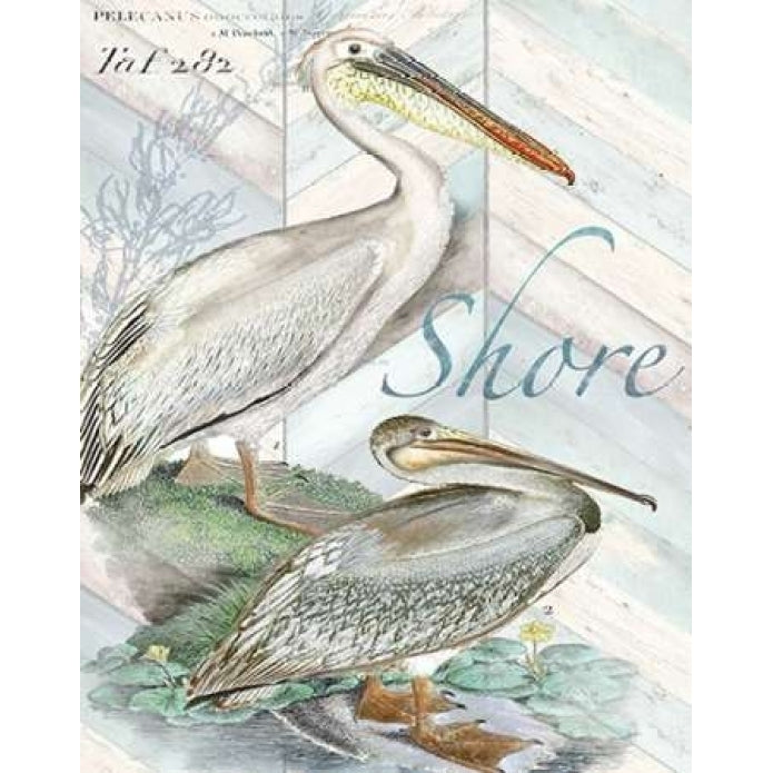 Shore Birds I Poster Print by Tre Sorelle Studios-VARPDXRB7776TS Image 1