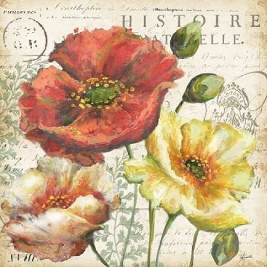 Spice Poppies Histoire Naturelle I Poster Print by Tre Sorelle Studios-VARPDXRB8025TS Image 1