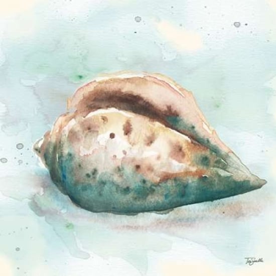 Watercolor Shells I Poster Print by Tre Sorelle Studios-VARPDXRB9491TS Image 1