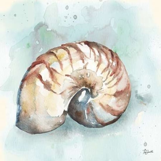 Watercolor Shells II Poster Print by Tre Sorelle Studios-VARPDXRB9492TS Image 1