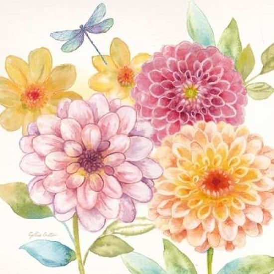 Dahlia Garden II Poster Print by Cynthia Coulter-VARPDXRB9636CC Image 1