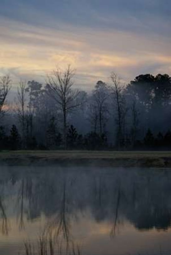 Misty Morning Poster Print by Denise Romita-VARPDXRB9642DR Image 1