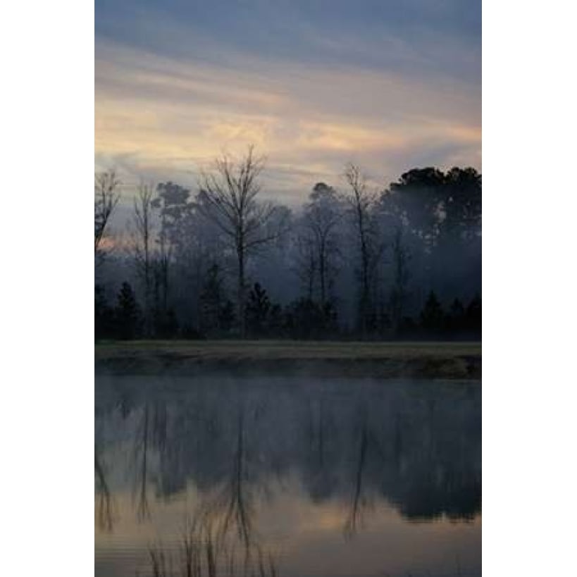 Misty Morning Poster Print by Denise Romita-VARPDXRB9642DR Image 2