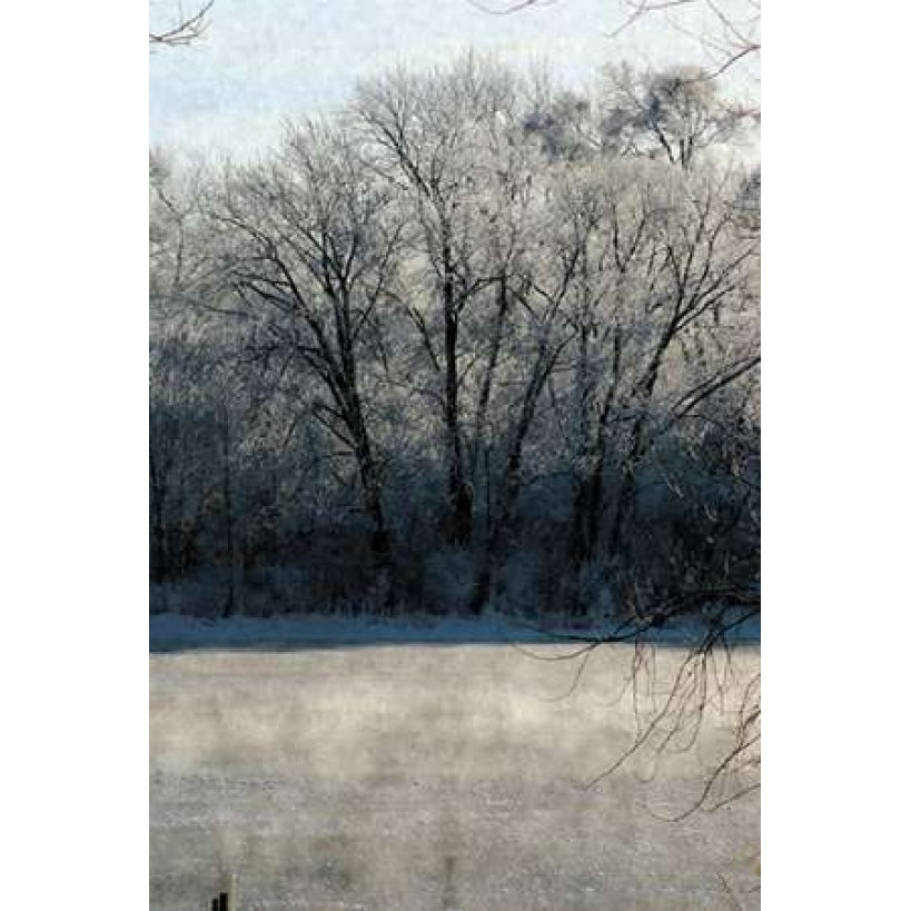 Ice Mist Poster Print by Denise Romita-VARPDXRB9645DR Image 2