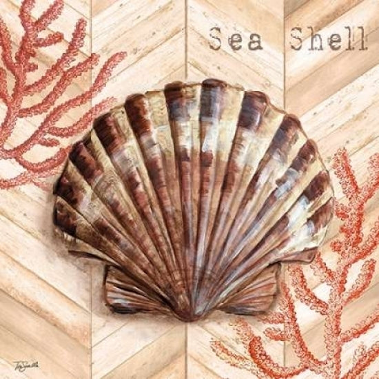 Chevron Shells Coral IV Poster Print by Tre Sorelle Studios-VARPDXRB9957TS Image 1