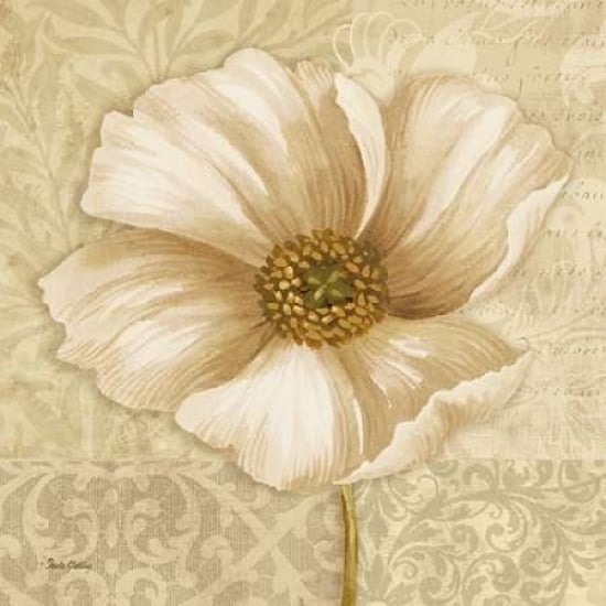 Soft Bloom II Poster Print by Pamela Gladding-VARPDXRB9969PG Image 2