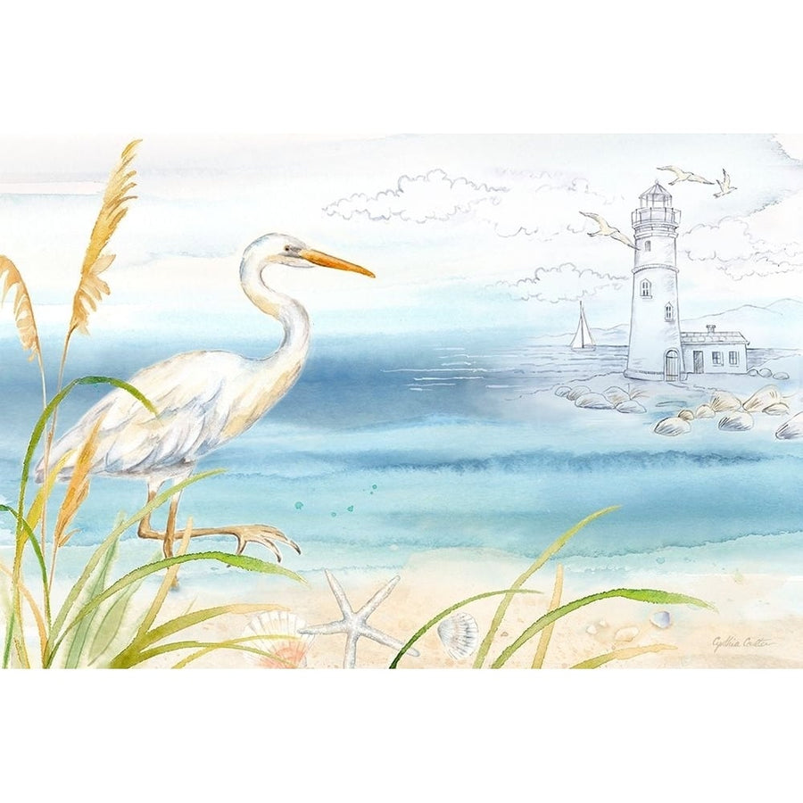 By the Seashore I Poster Print - Cynthia Coulter-VARPDXRBBTS01CC Image 1