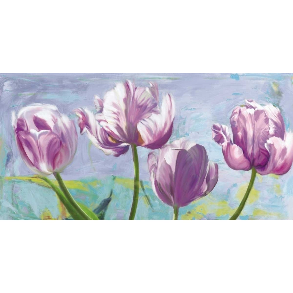 Lilac Tulips Poster Print by Robin Sadler-VARPDXRBS6718 Image 1