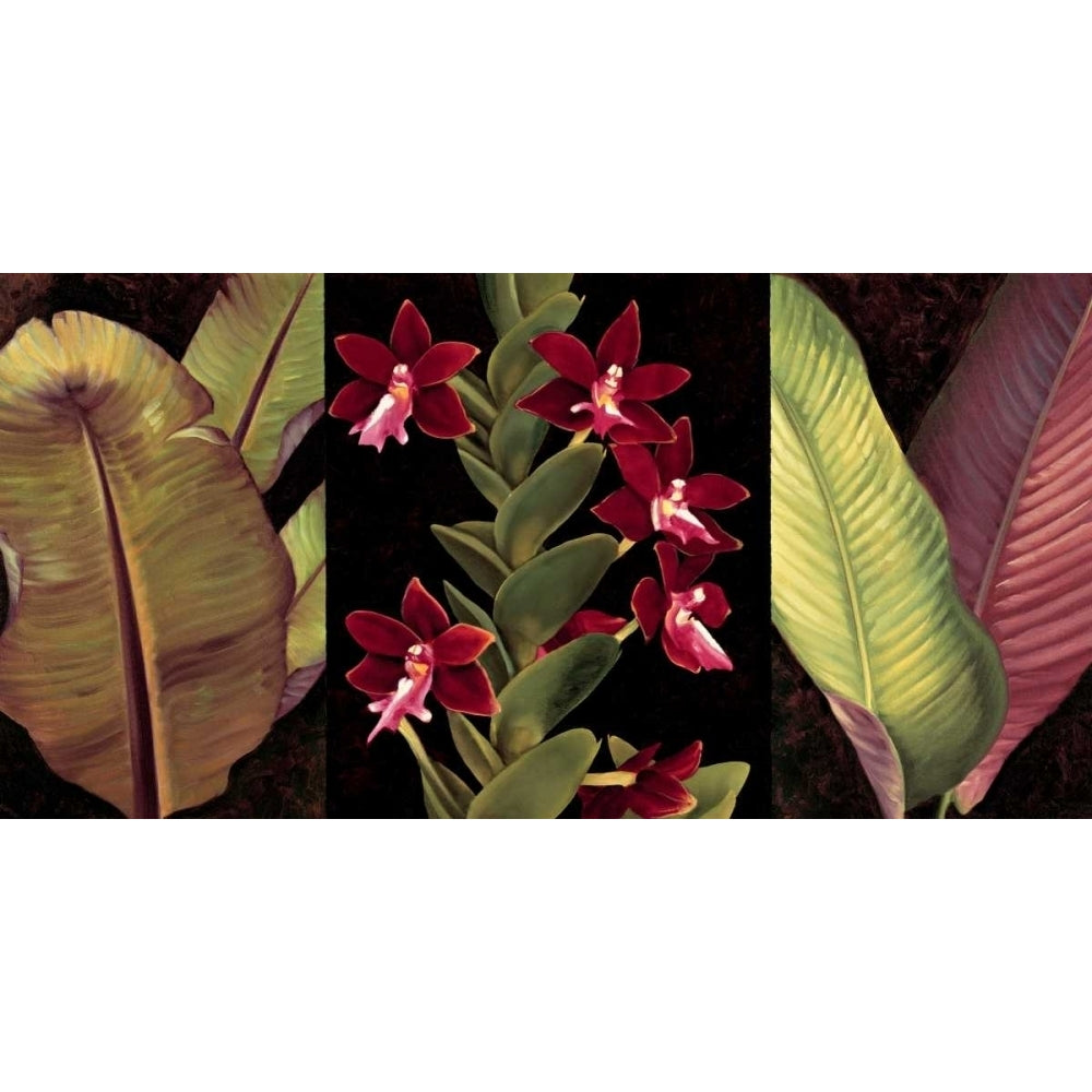 Red Orchids and Palm Leaves Poster Print by Rodolfo Jimenez-VARPDXRDI4152 Image 1