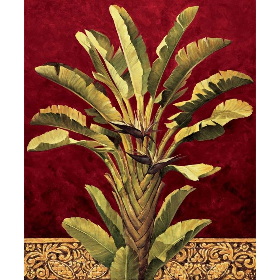 Travelers Palm Poster Print by Rodolfo Jimenez-VARPDXRDI4137 Image 1