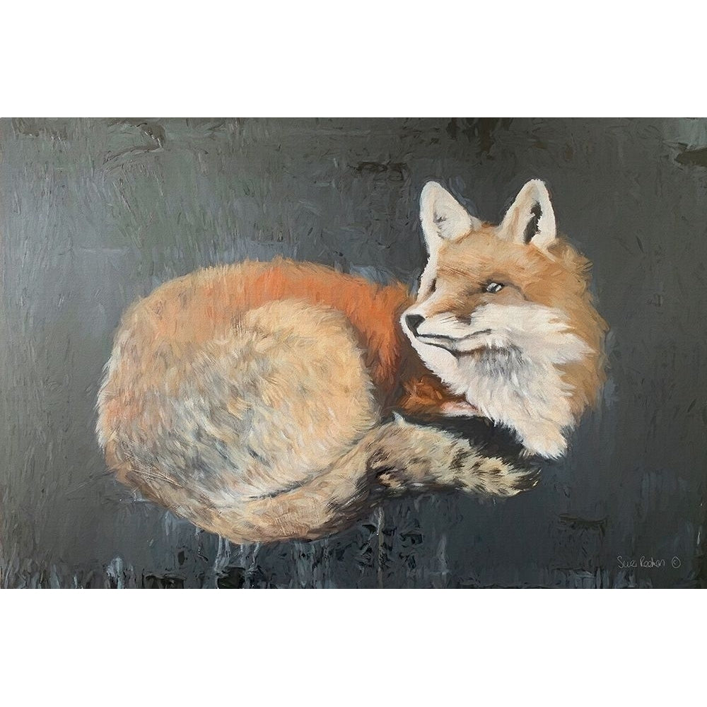 Starry Starry Night Fox Poster Print by Suzi Redman-VARPDXRED120 Image 1