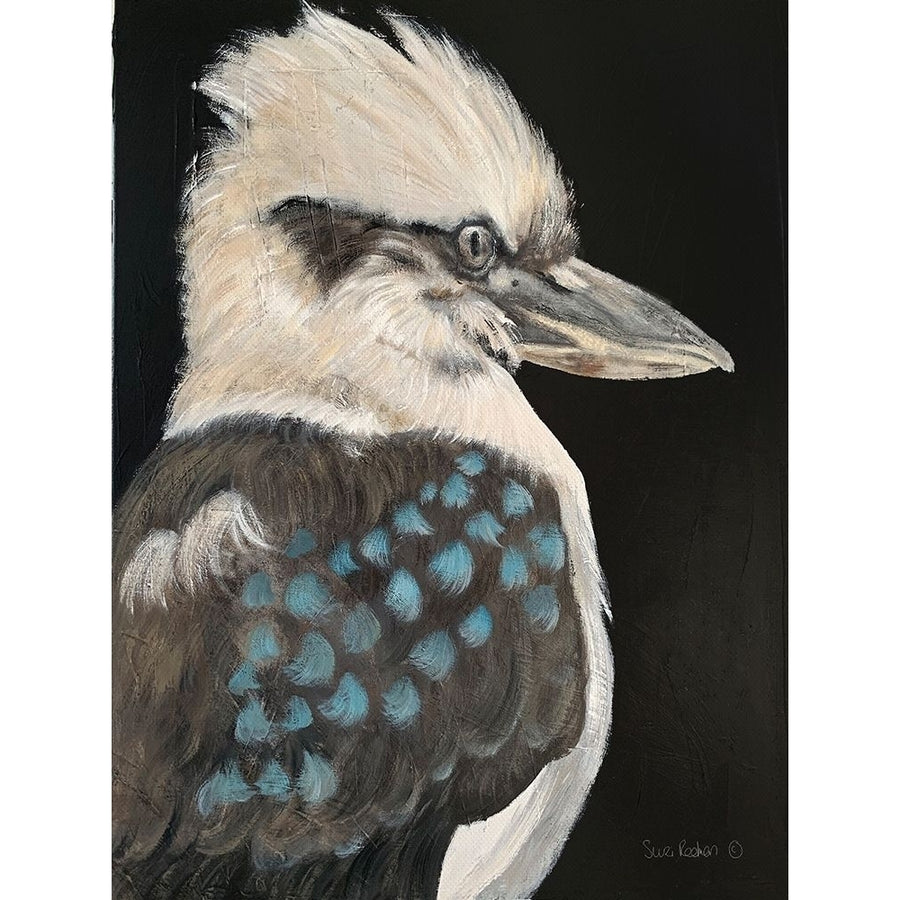 Kookaburra by Suzi Redman-VARPDXRED158 Image 1