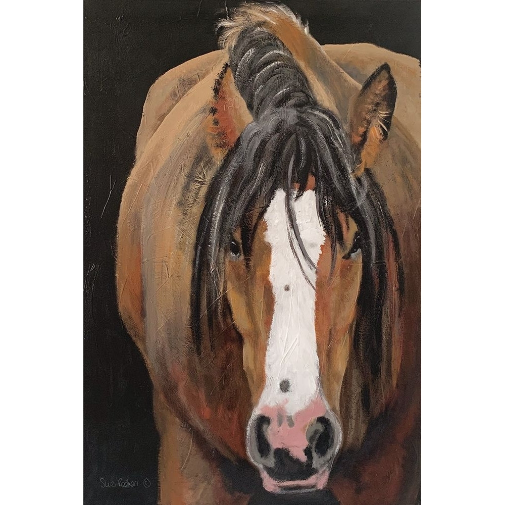 Horse Portrait II by Suzi Redman-VARPDXRED153 Image 1