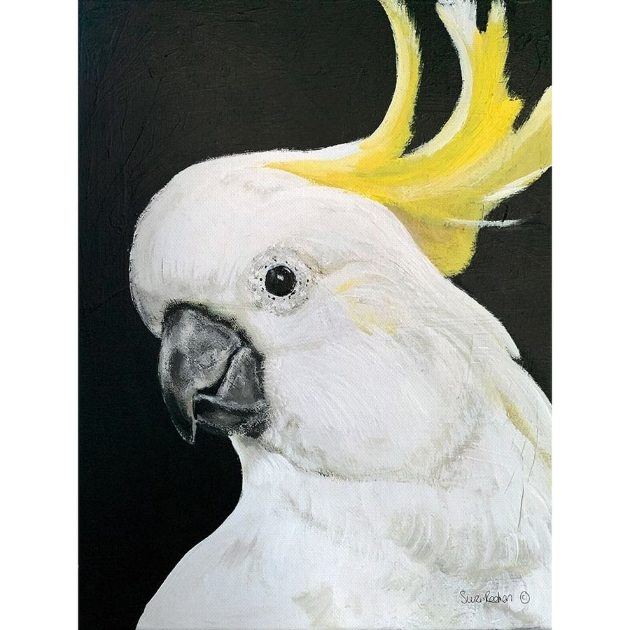 White Cockatoo by Suzi Redman-VARPDXRED157 Image 1