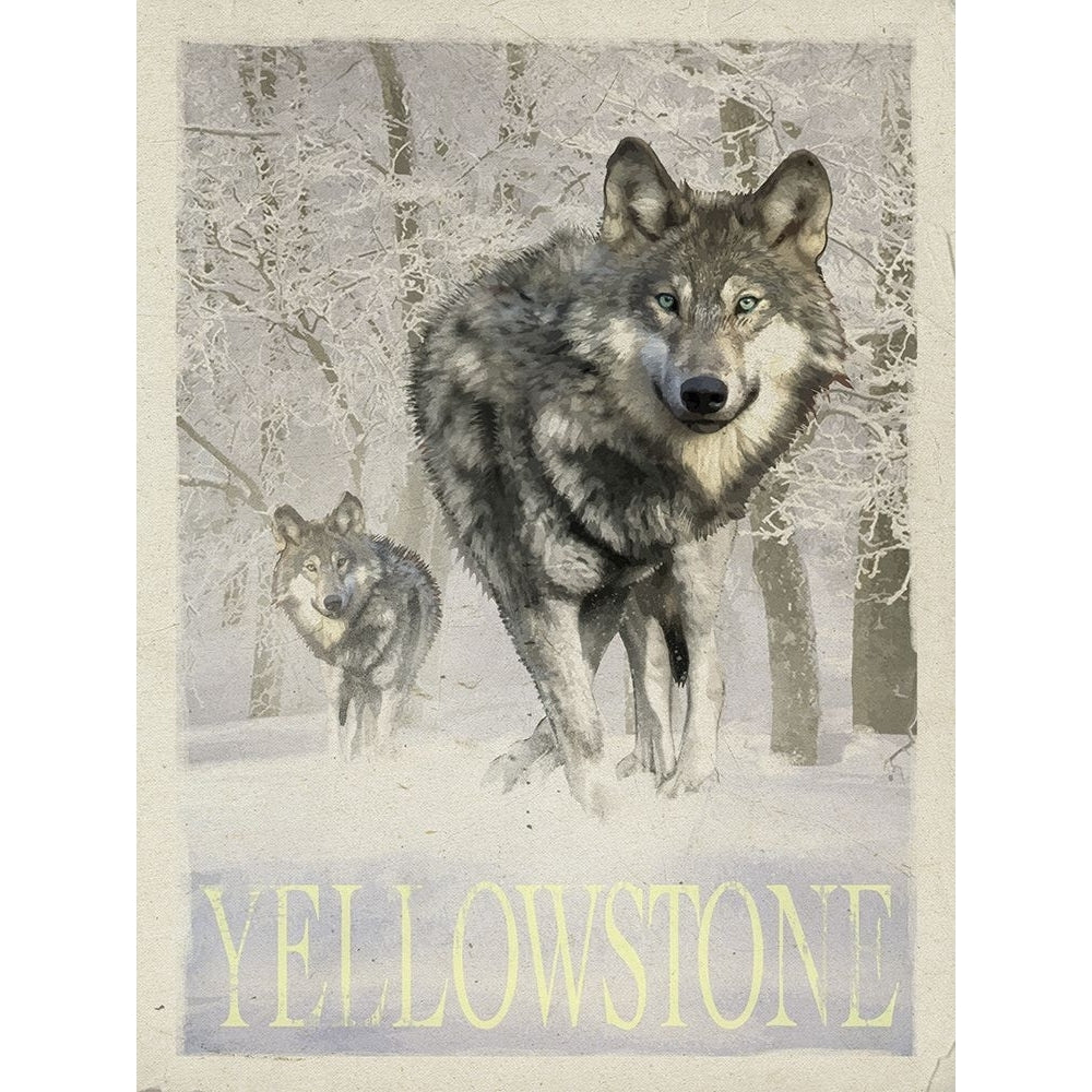 Wolf Snow Poster Print - Red Truck Old-VARPDXREDTRX240464 Image 1