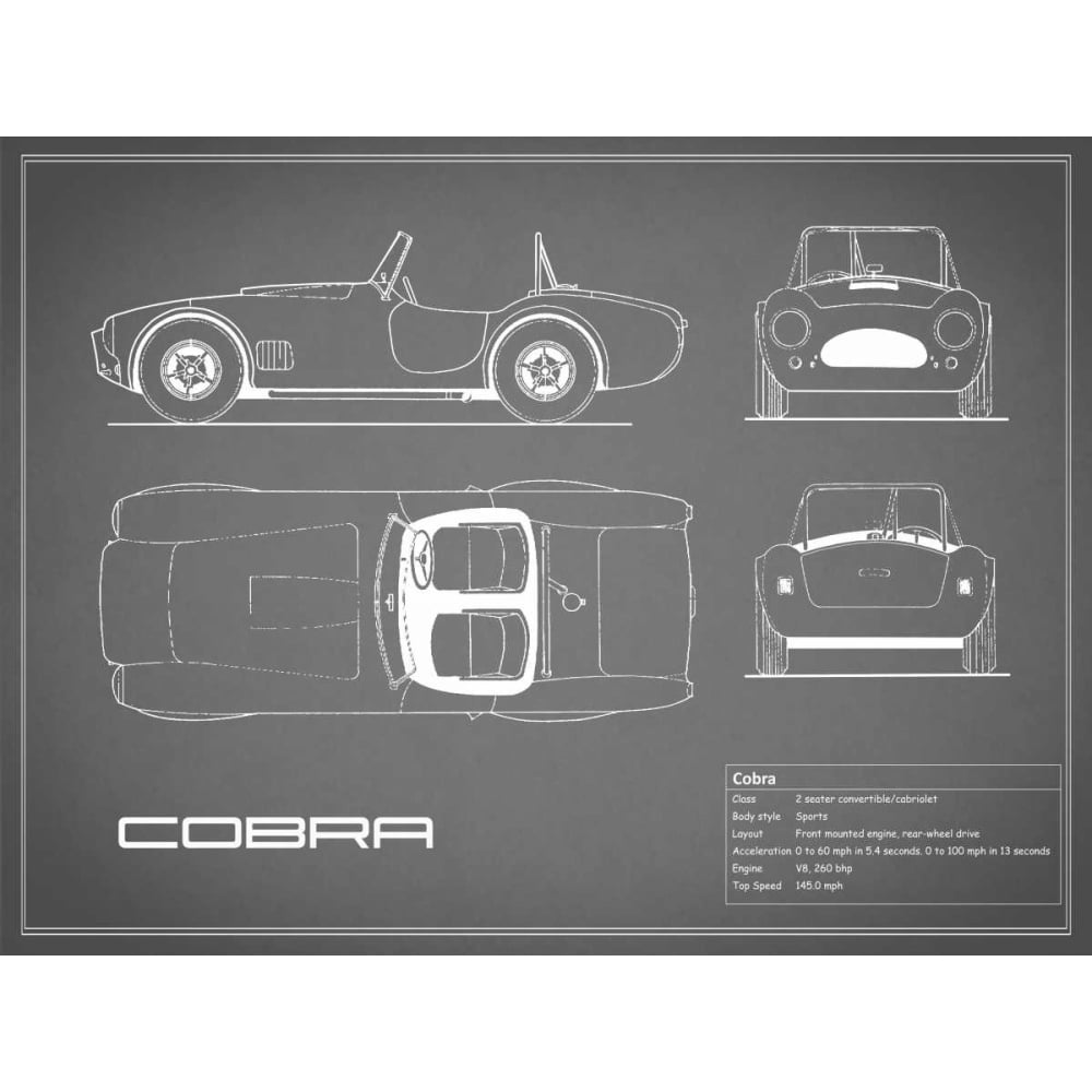 Cobra-Grey Poster Print by Mark Rogan-VARPDXRGN112702 Image 1