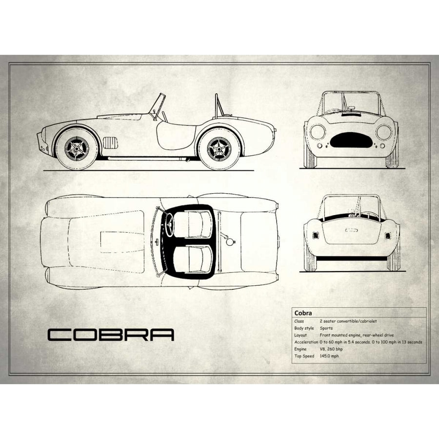 AC Cobra White Poster Print by Mark Rogan-VARPDXRGN113188 Image 1