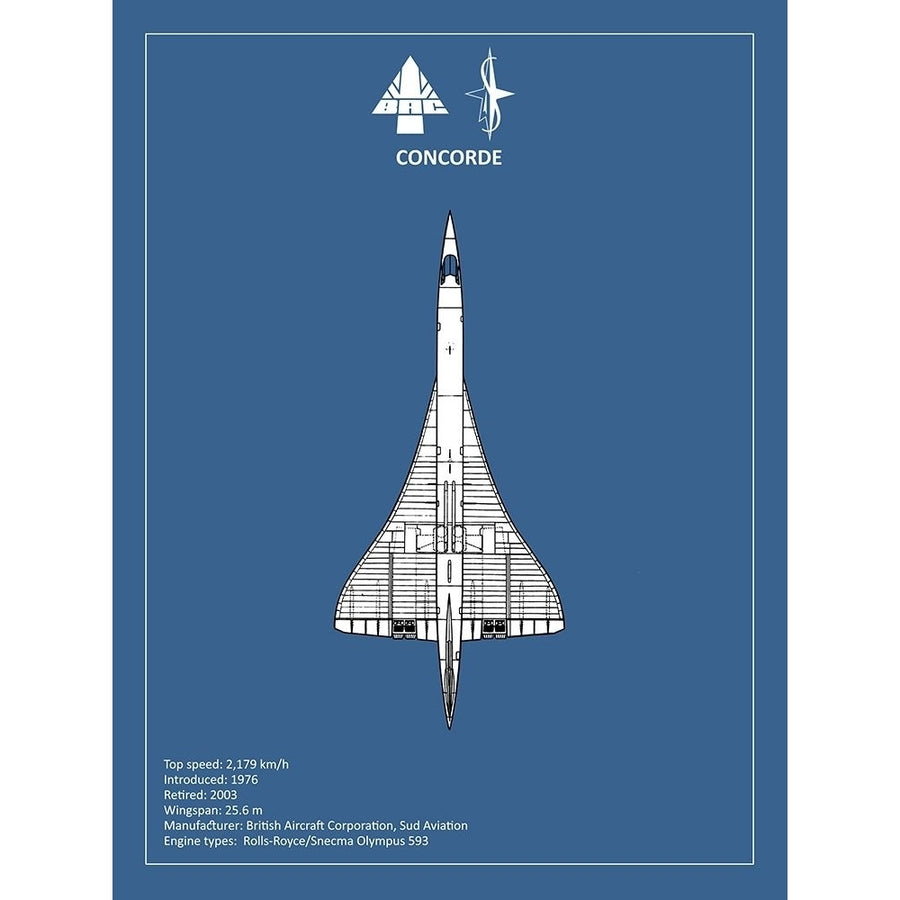 BAE Concorde Poster Print by Mark Rogan-VARPDXRGN114899 Image 1