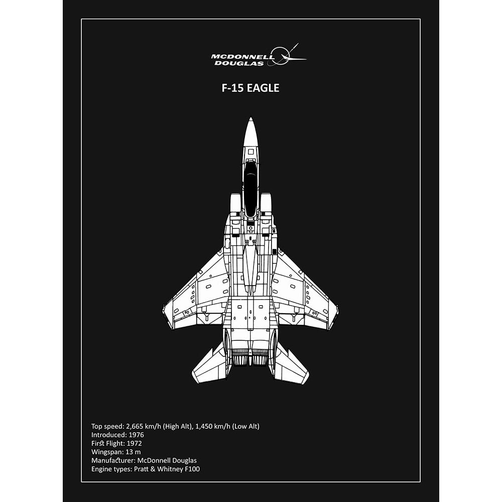 BP F15 Eagle Black Poster Print by Mark Rogan-VARPDXRGN114922 Image 1